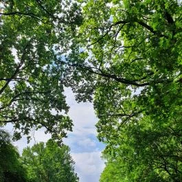 Szarvasi Arborétum Szarvas - Egyéb