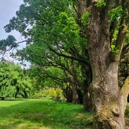 Szarvasi Arborétum Szarvas - Egyéb