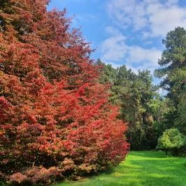 Szarvasi Arborétum Szarvas - Egyéb
