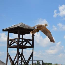 Puchner Kastélyszálló Bikal - Környék