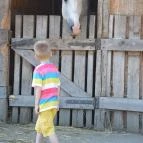 Puchner Kastélyszálló Bikal - Környék