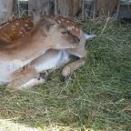 Puchner Kastélyszálló Bikal - Környék