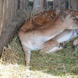 Puchner Kastélyszálló Bikal - Környék
