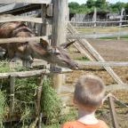 Puchner Kastélyszálló Bikal - Környék