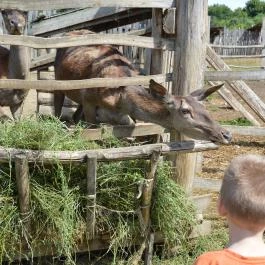 Puchner Kastélyszálló Bikal - Környék