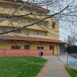 Colosseum Wellness Hotel Mórahalom - Medence/kert