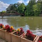 Szeparé Kávézó & Étterem Szarvas - Egyéb