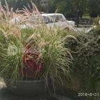 Hotel Forrás Zalakaros Zalakaros - Környék