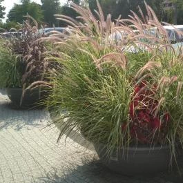 Hotel Forrás Zalakaros, Zalakaros - Környék