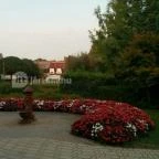 Hotel Forrás Zalakaros Zalakaros - Környék