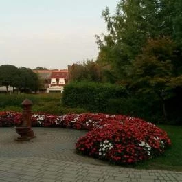 Hotel Forrás Zalakaros, Zalakaros - Környék