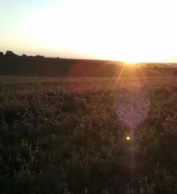 Bokréta Vendégház