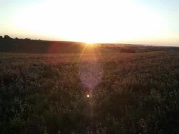 Bokréta Vendégház Ganna