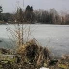 Tóvendéglő Szombathely - Egyéb