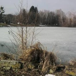 Tóvendéglő Szombathely - Egyéb