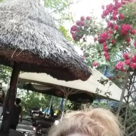 Andretti Pizzéria-Kávézó-Fagyizó, Budapest - Egyéb