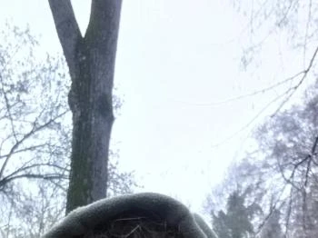 Jobb, mint otthon - Halsütő & Borozó Gárdony Jobb, mint otthon - Halsütő & Borozó Gárdony