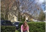 Szöszi Cukrászda Budakeszi