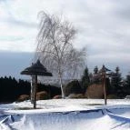Hévíz Resort & Spa Cserszegtomaj - Környék