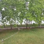 Ágnes Apartman Balatonboglár - Egyéb