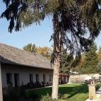 Allium Apartman Makó - Medence/kert