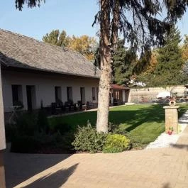 Allium Apartman Makó - Medence/kert