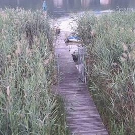 D30 Prémium Apartman Orf? - Egyéb