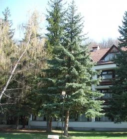 Medves Hangulatszálló