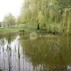 Bodrogi Kúria Wellness Hotel Inárcs - Medence/kert