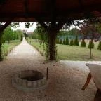 Bodrogi Kúria Wellness Hotel Inárcs - Környék