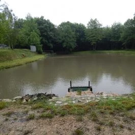 Hotel Szarvaskút Zirc - Környék