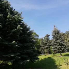 Tündérkert Hotel Noszvaj - Medence/kert