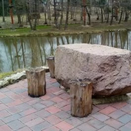 Aranybánya Panzió és Apartmanház , Telkibánya - Medence/kert