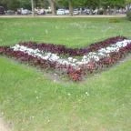 SunGarden Wellness Hotel Siófok - Medence/kert