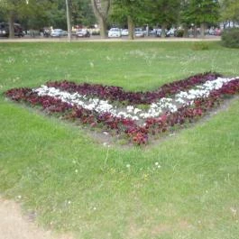 SunGarden Wellness Hotel Siófok - Medence/kert