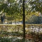 Hotel Nagyerdő Debrecen - Környék