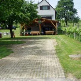 Szent Orbán Panzió Zalakaros - Kutyabarát apartmanok, Zalakaros - Külső kép