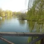 Zichy Park Hotel Bikács - Környék