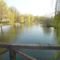 Zichy Park Hotel Bikács - Környék