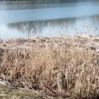 Tisza Balneum Hotel Tiszafüred - Külső kép