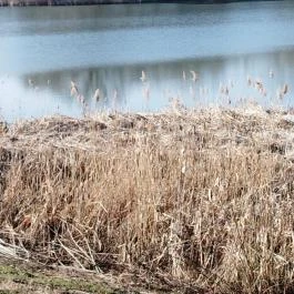 Tisza Balneum Hotel, Tiszafüred - Külső kép