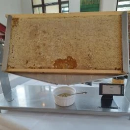 Tisza Balneum Hotel, Tiszafüred - Vendéglátás