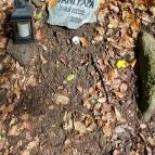 Erzsébet Park Hotel Parádfürdő - Egyéb