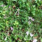 Erzsébet Park Hotel Parádfürdő - Egyéb