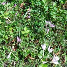 Erzsébet Park Hotel, Parádfürdő - Egyéb