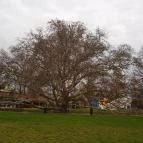 Hunguest Hotel Flóra Eger - Medence/kert