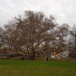 Hunguest Hotel Flóra Eger - Medence/kert