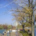 Hunguest Hotel Bál Resort Balatonalmádi - Környék