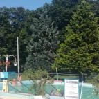 Borgáta Termálfürdő Borgáta - Egyéb