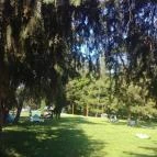 Borgáta Termálfürdő Borgáta - Egyéb